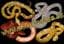 www-Cornsnakes-se